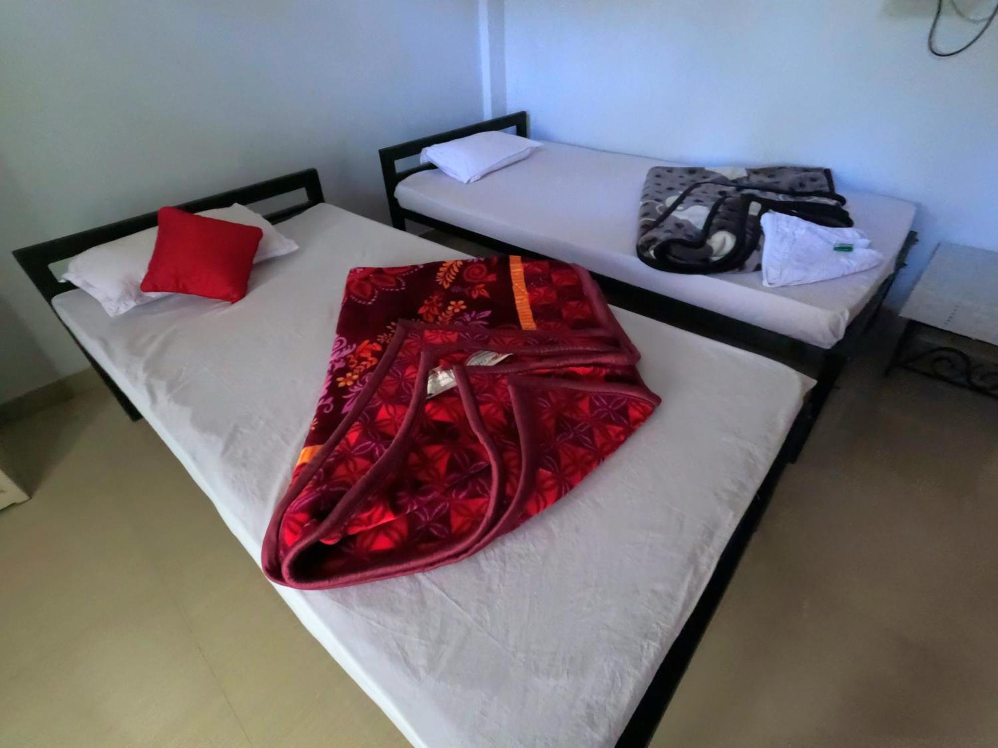 Kareng Party Camp N Homestay Kāziranga エクステリア 写真